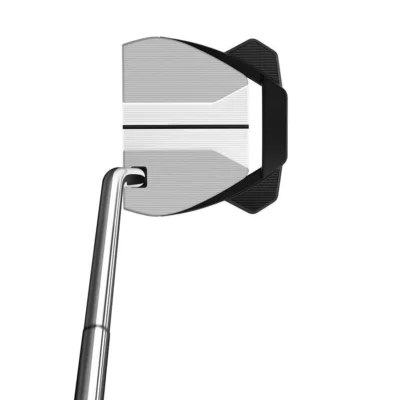 TaylorMade Việt Nam -Putter Spider GTX Silver Single Bend