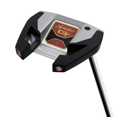 Taylormade Việt Nam - Spider GT Silver Small Slant Putter