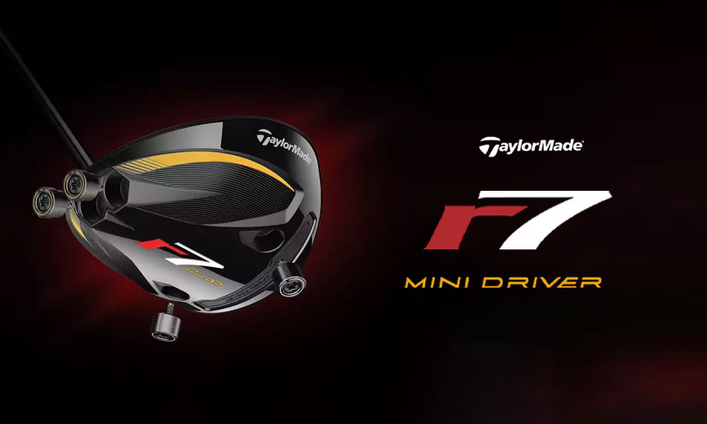 gay-mini-driver-la-gi